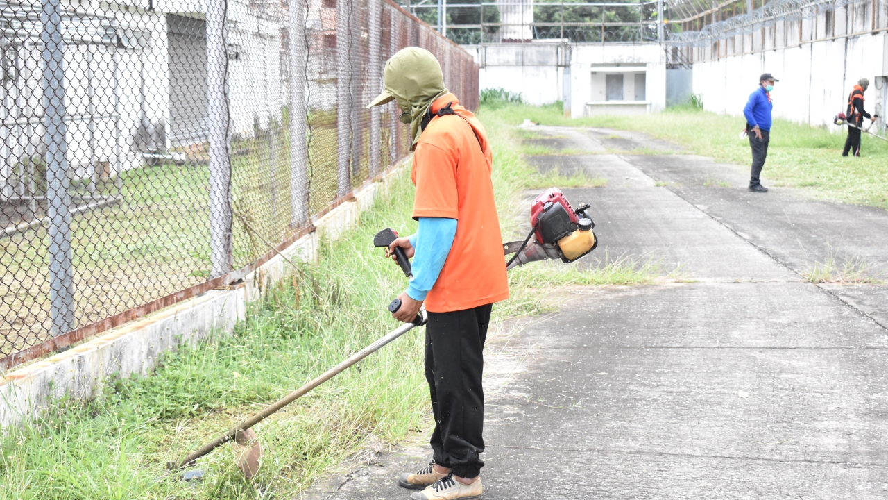 blog
