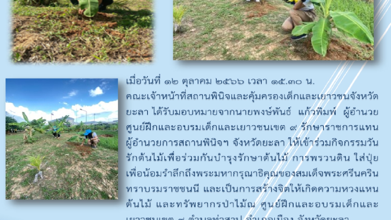 blog